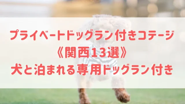 プライベートドッグラン付きコテージ《関西13選》専用ドッグラン付きの犬と泊まれるヴィラもご紹介